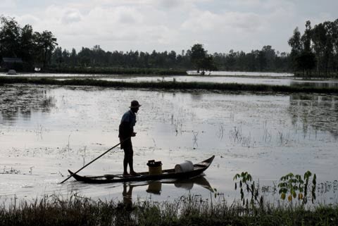 Hình 3. Đồng Tháp Mười mùa nước nổi (Nguồn internet)