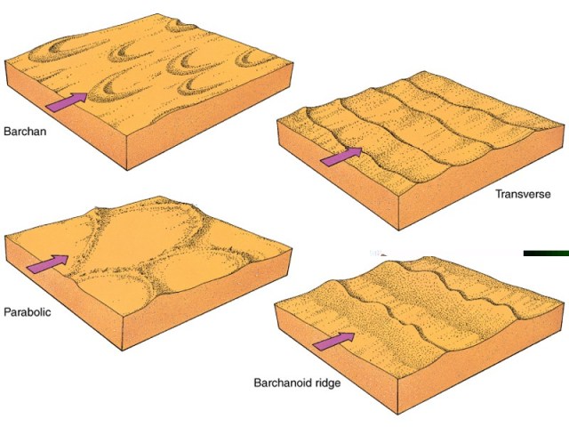 Một số kiểu đụn cát do gió