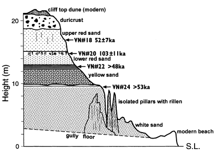 Mặt cắt Gành Son