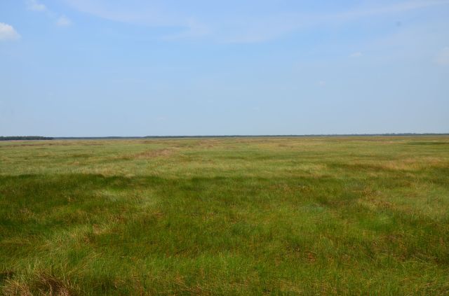 Hình 5. Mênh mông đồng cỏ (mùa khô 2015)