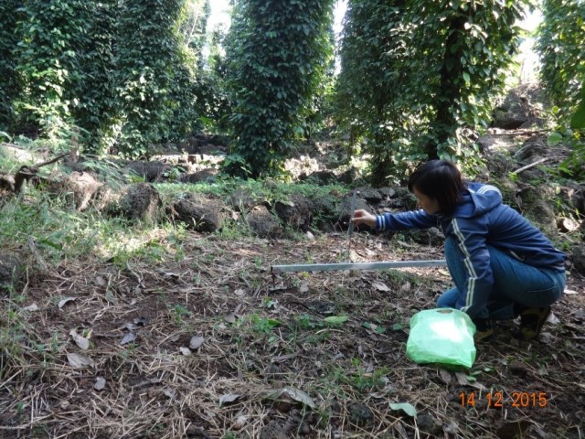 Hình 2. Cách thức đo đạc bằng cầu xói mòn