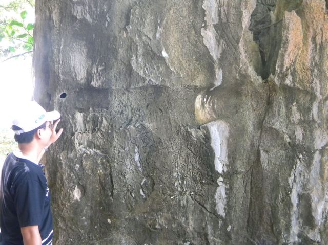 Vị trí, độ cao, hình thái?