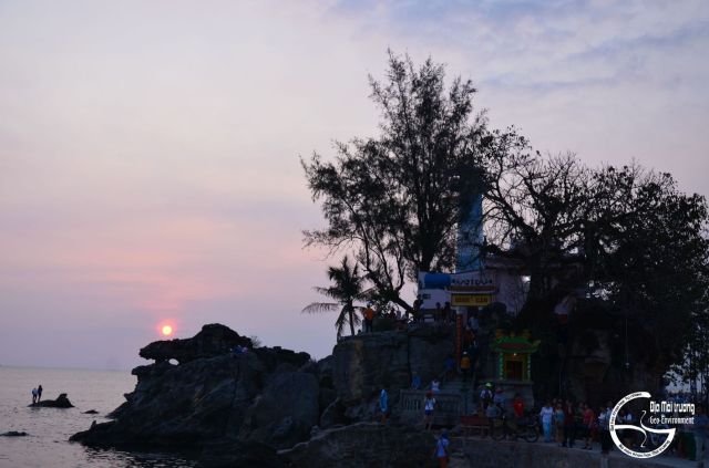 Hình 10. Ảnh chụp ngày 25/03/2016