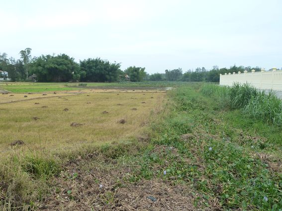 Lòng sông cổ chạy sát bờ thành phía bắc