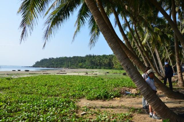 Một góc cảnh quan bãi Bắc