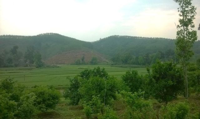 Hình 14: Điểm khảo sát ở xã Gia Phổ