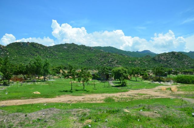 Núi bóc mòn và thềm biển mài mòn-tích tụ cao 15 m tại Cà Ná