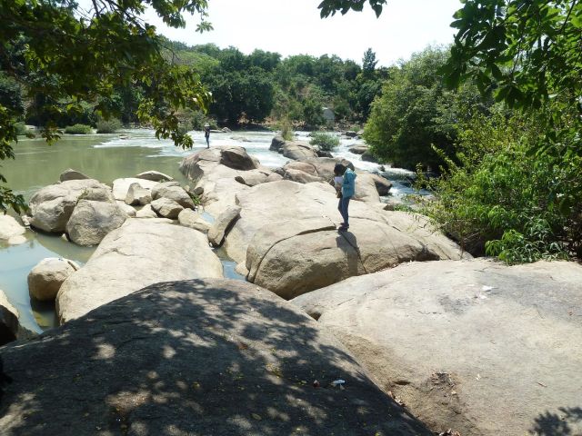 Hình 12: Dải đá granodiorit chắn ngang sông La Ngà tạo nên Thác Mai