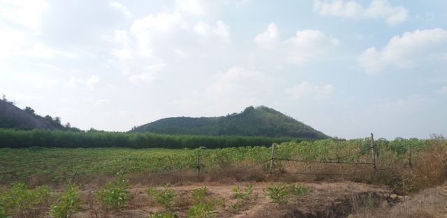 Hình 2: Núi lửa Đông Bắc nhô cao trên đồng bằng Gia Canh