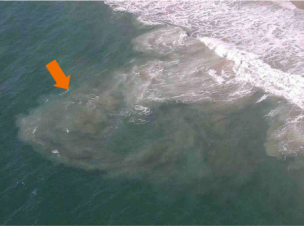 Dòng chảy xa bờ - "con quái vật" có thể cướp đi mạng sống của bạn một cách đầy bất ngờ