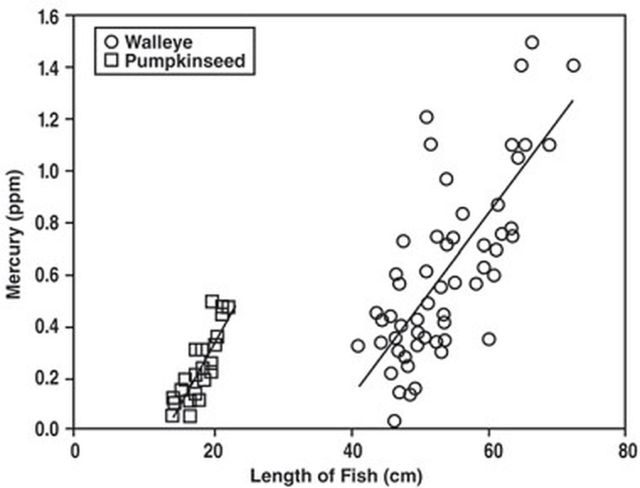 Bảng 2 – Minh họa tính tích lũy và nhân cấp của độc tố