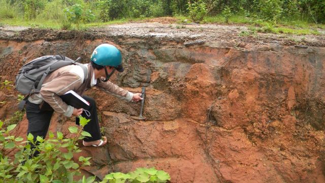 Nam khảo sát thềm biển Pleistocen