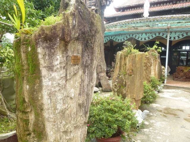 Thân gỗ hóa thạch ở chùa Linh Phước, Trại Mát