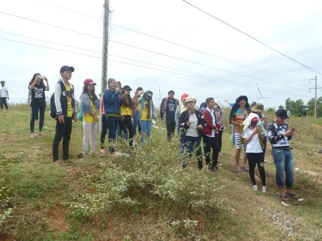 Hồng Nhung giới thiệu về tiềm năng điện gió Bình Thuận 