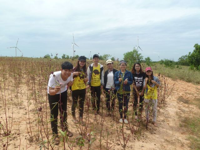 Trên đồi điện gió Tuy Phong