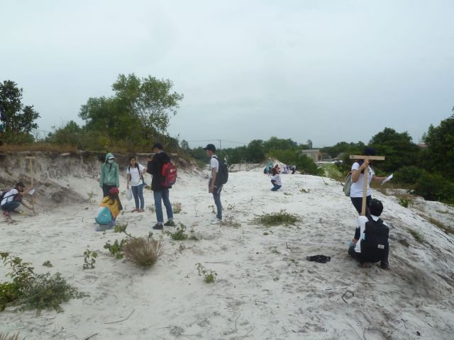 Đo vẽ mặt cắt đồi cát thủy tinh (sườn đông nam)