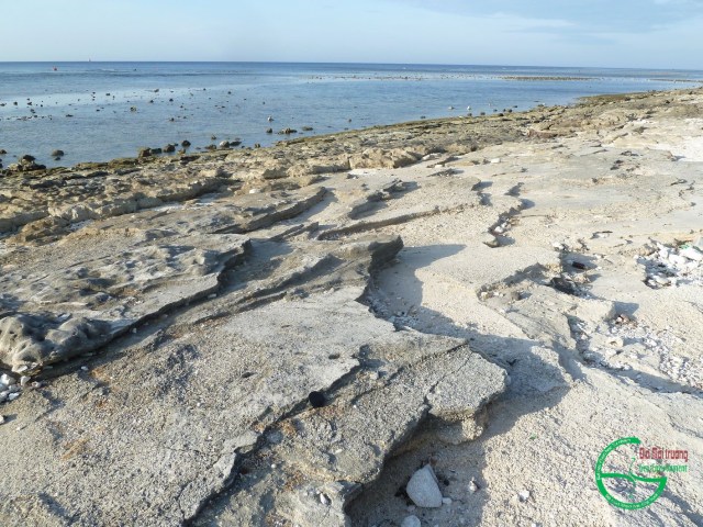 Hình 2. Các lớp cát kết san hô bãi biển phía bắc núi lửa Giếng Tiền lộ khi thủy triều xuống thấp
