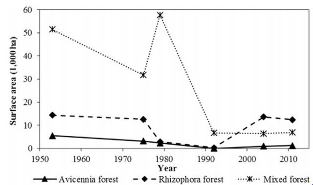 Hình. 4. Những thay đổi về diện tích RNM từ 1953-2011 tại Mũi Cà Mau, VN