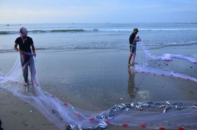 Thu cá buổi sớm