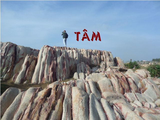 tam_1