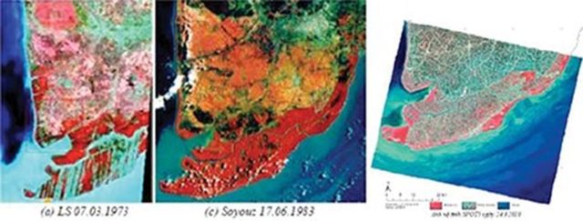 Hình 3. Diễn biến rừng ngập mặn ở Cà Mau. Ảnh vệ tinh từ trái qua phải 1973, 1983 và 2010.