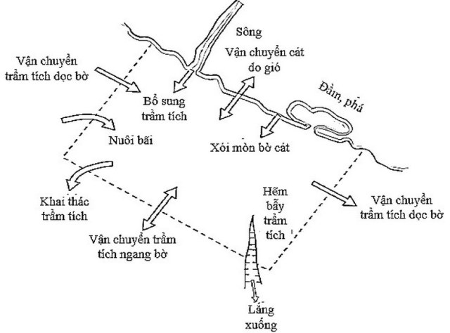 Hình 1. Tế bào bờ biển và các hướng vận chuyển, trao đổi trầm tích (Nguồn: [1])