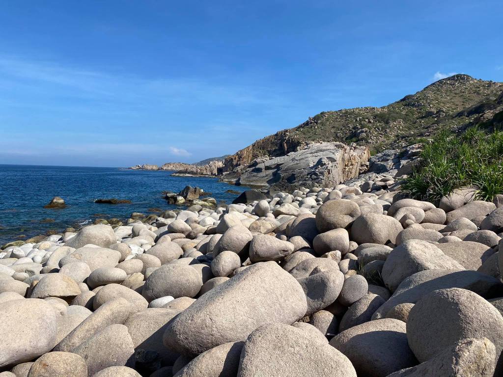 103735257_308078823689546_5779451421014140705_n