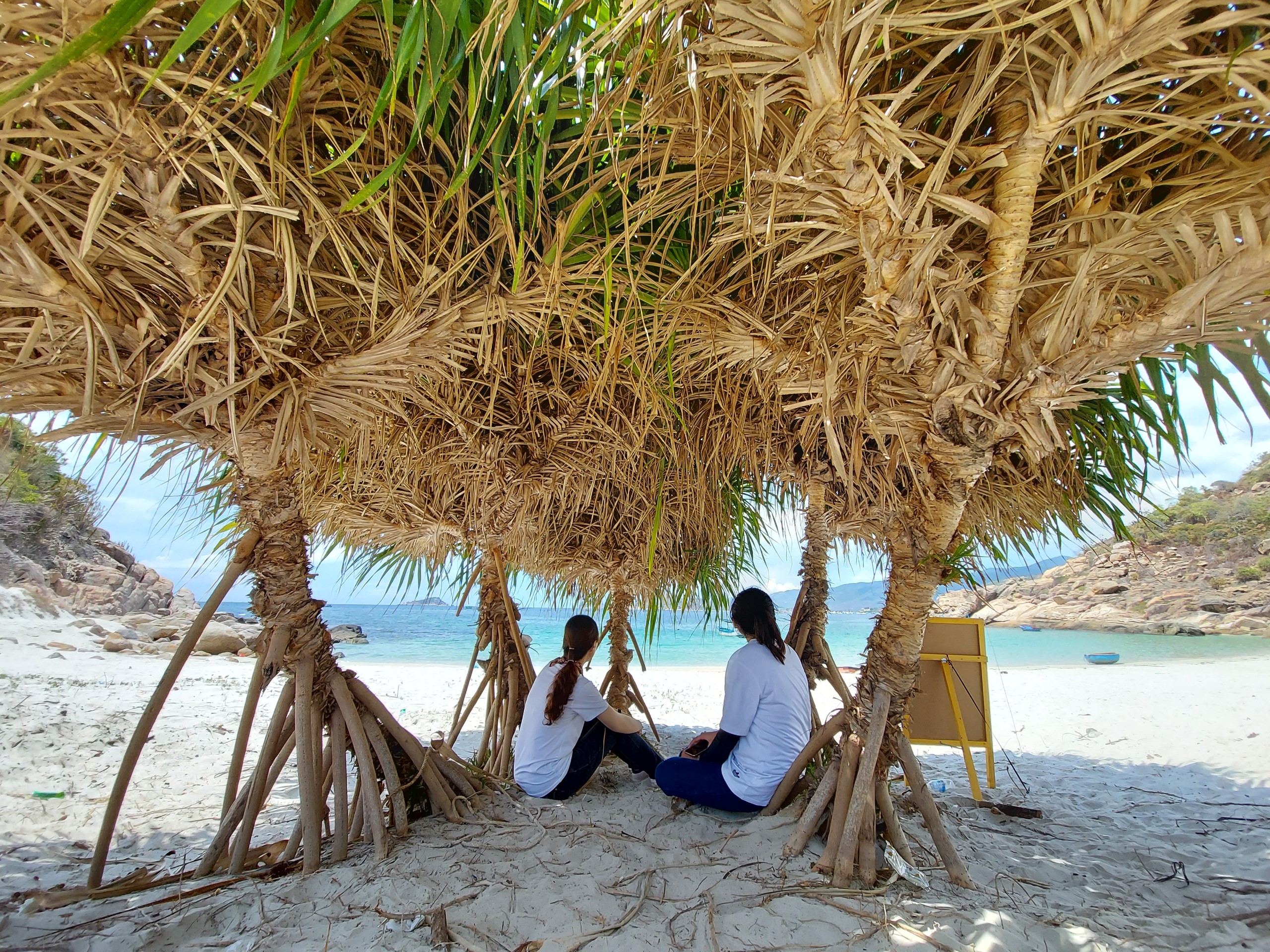 26f991c86d0d9053c91c