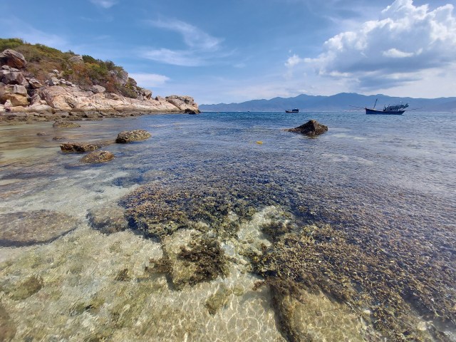 4e35fa0604c3f99da0d2 (1)