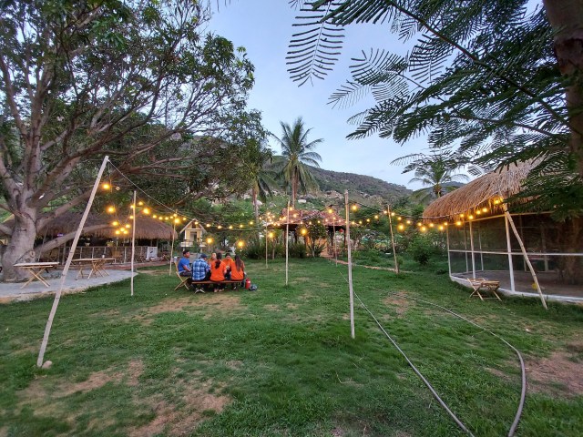 dacef1b2ad8050de0991